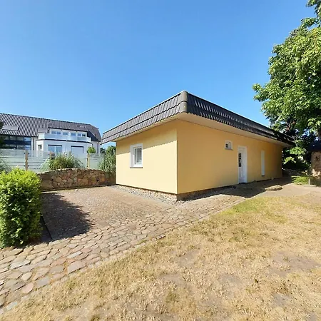 Strandmuschel * Ostseebad Kühlungsborn